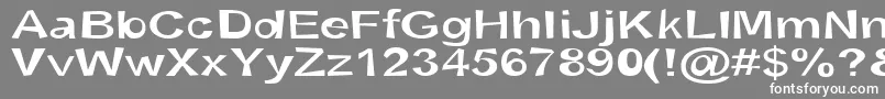 フォントSnottSemibold – 灰色の背景に白い文字