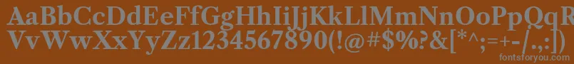 フォントLibrecaslontextBold – 茶色の背景に灰色の文字