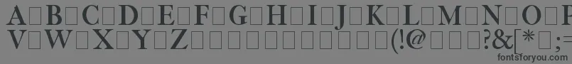 フォントFetlrm2 – 黒い文字の灰色の背景