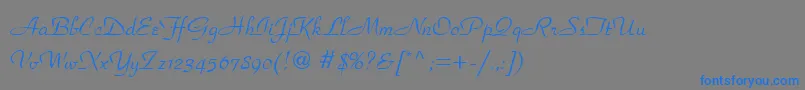 フォントPeperomiaRegular – 灰色の背景に青い文字