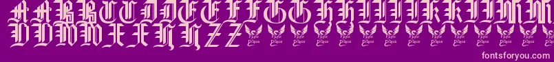 GothicStraightFaced16thC. Font – Pink Fonts on Purple Background