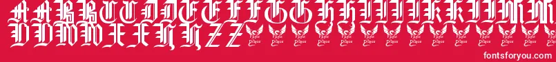 GothicStraightFaced16thC. Font – White Fonts on Red Background