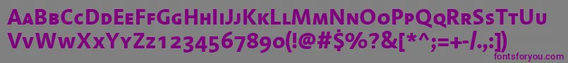 フォントLinotypeAromaBoldSc – 紫色のフォント、灰色の背景
