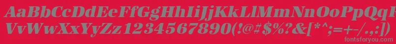 フォントAntiquastdHeavyItalic – 赤い背景に灰色の文字