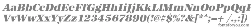 フォントAntiquastdHeavyItalic – 灰色のフォント