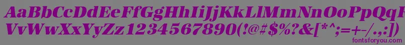 AntiquastdHeavyItalic Font – Purple Fonts on Gray Background