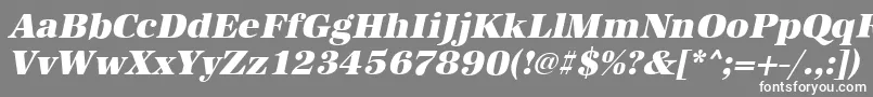 フォントAntiquastdHeavyItalic – 灰色の背景に白い文字