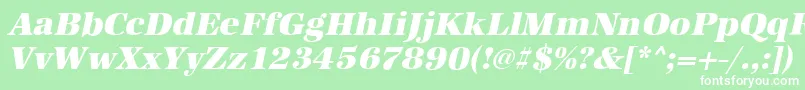 AntiquastdHeavyItalic Font – White Fonts on Green Background