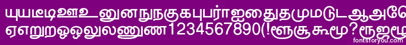 Шрифт TrincoNormal – белые шрифты на фиолетовом фоне