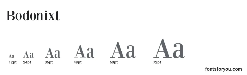 Размеры шрифта Bodonixt