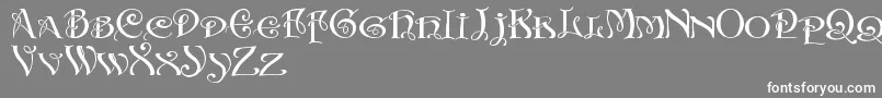Weitere Informationen zur InitialsWithCurls-Schriftart InitialsWithCurls-Schriftart – Weiße Schriften auf grauem Hintergrund