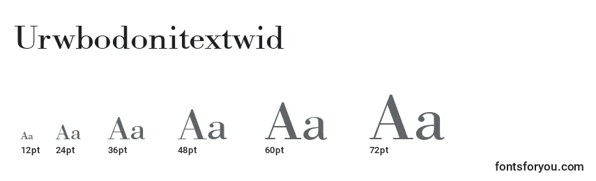 Размеры шрифта Urwbodonitextwid