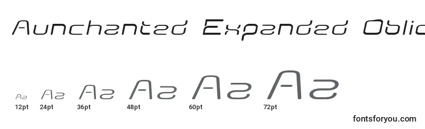 Размеры шрифта Aunchanted Expanded Oblique