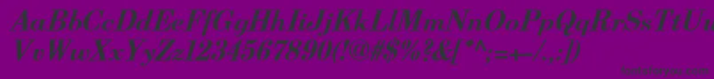 BerenisadfproBolditalic Font – Black Fonts on Purple Background