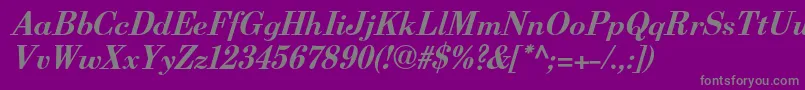 BerenisadfproBolditalic-Schriftart – Graue Schriften auf violettem Hintergrund