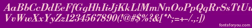 BerenisadfproBolditalic Font – Pink Fonts on Purple Background
