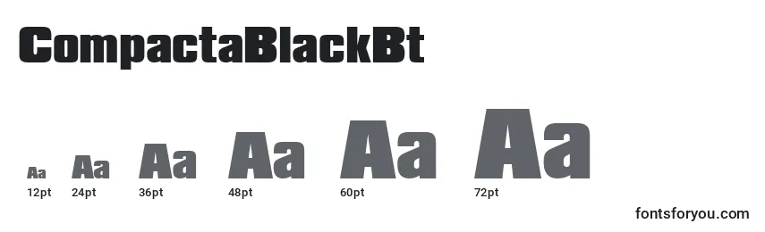 Размеры шрифта CompactaBlackBt