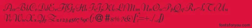 BernhardscriptBold Font – Black Fonts on Red Background