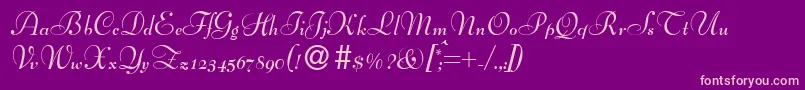fuente BernhardscriptBold – Fuentes Rosadas Sobre Fondo Morado