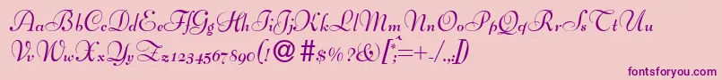 BernhardscriptBold-Schriftart – Violette Schriften auf rosa Hintergrund