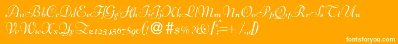 BernhardscriptBold Font – White Fonts on Orange Background