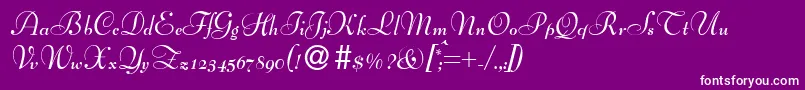 フォントBernhardscriptBold – 紫の背景に白い文字