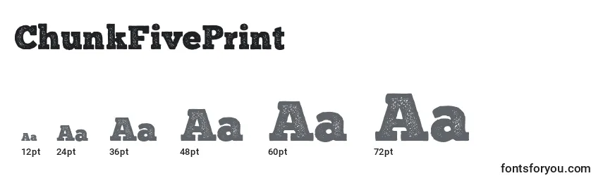 ChunkFivePrint (111143) Font Sizes