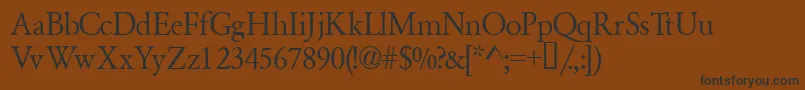 Garamondsemiexpandedssk ffy Font – Black Fonts on Brown Background