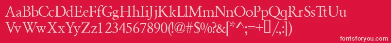 Garamondsemiexpandedssk ffy Font – Pink Fonts on Red Background