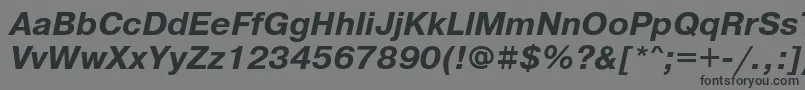 PragmaticabttBolditalic Font – Black Fonts on Gray Background