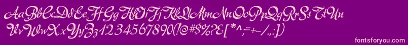 MecheriaRegular Font – Pink Fonts on Purple Background