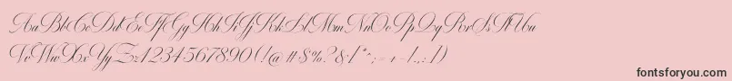 More about MiltonOneBold Font MiltonOneBold Font – Black Fonts on Pink Background