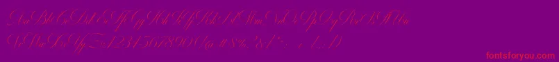 Więcej informacji o czcionce MiltonOneBold Czcionka MiltonOneBold – czerwone czcionki na fioletowym tle