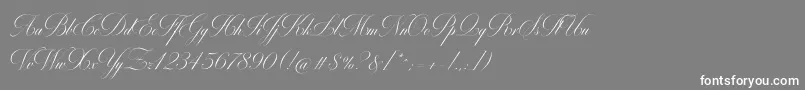 MiltonOneBold Font – White Fonts on Gray Background