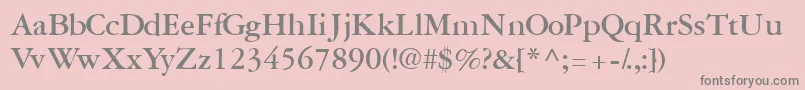 GaramondreprisesskBold Font – Gray Fonts on Pink Background