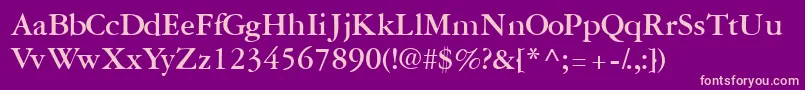 GaramondreprisesskBold Font – Pink Fonts on Purple Background