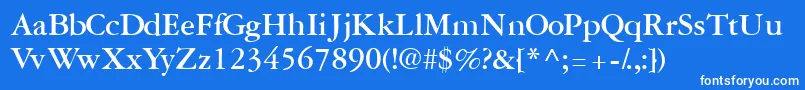 GaramondreprisesskBold Font – White Fonts on Blue Background