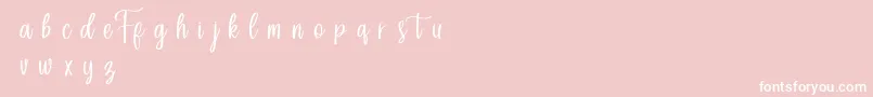 Forefarmersdemo Font – White Fonts on Pink Background