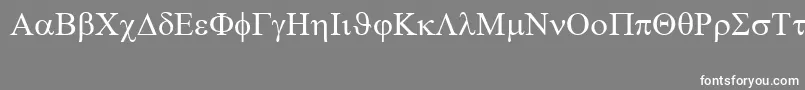 Symbol-Schriftart – Weiße Schriften auf grauem Hintergrund