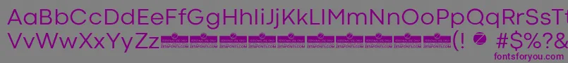 CodecColdNewsTrial Font – Purple Fonts on Gray Background