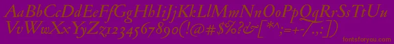 JannonmedosfItalic Font – Brown Fonts on Purple Background