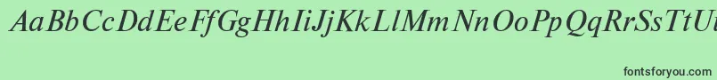 NewtoncttItalic Font – Black Fonts on Green Background