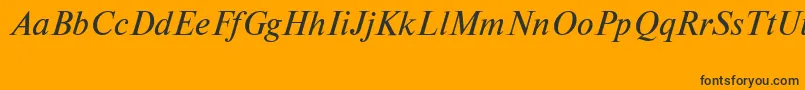 NewtoncttItalic Font – Black Fonts on Orange Background