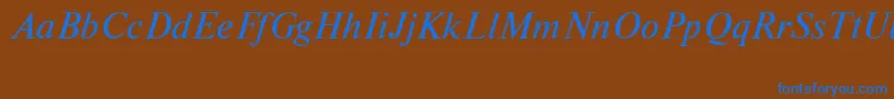 NewtoncttItalic Font – Blue Fonts on Brown Background