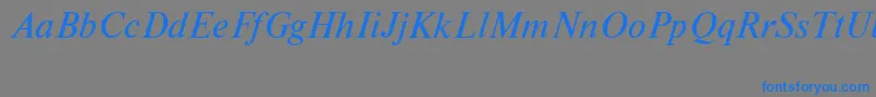 NewtoncttItalic Font – Blue Fonts on Gray Background