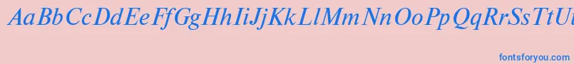 NewtoncttItalic Font – Blue Fonts on Pink Background