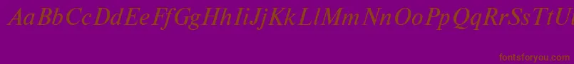 NewtoncttItalic-Schriftart – Braune Schriften auf violettem Hintergrund