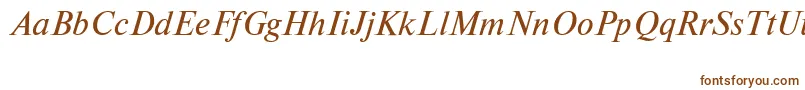 NewtoncttItalic Font – Brown Fonts