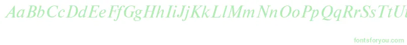 NewtoncttItalic Font – Green Fonts