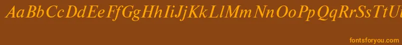 フォントNewtoncttItalic – オレンジ色の文字が茶色の背景にあります。